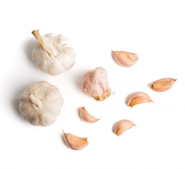 garlic