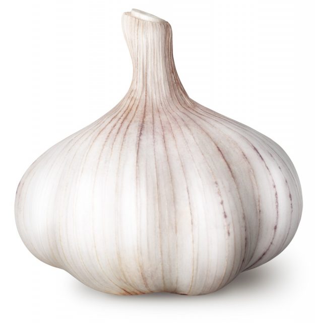 garlic