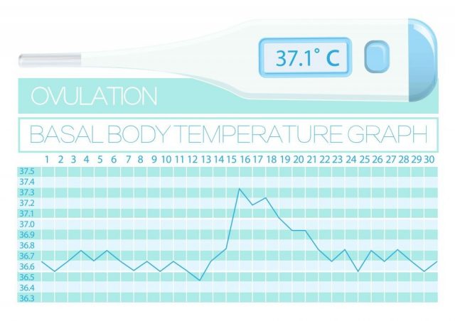 Basal body temperature woman