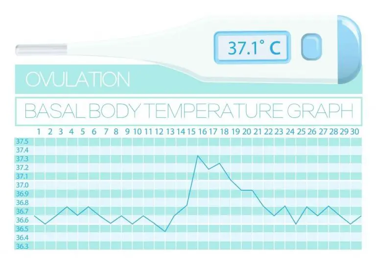 What Does Fertile Mean? Time To View Deep Insights