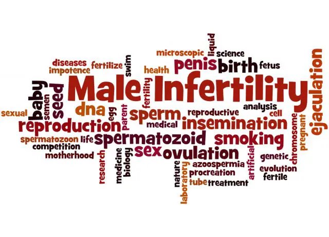 Male Infertility