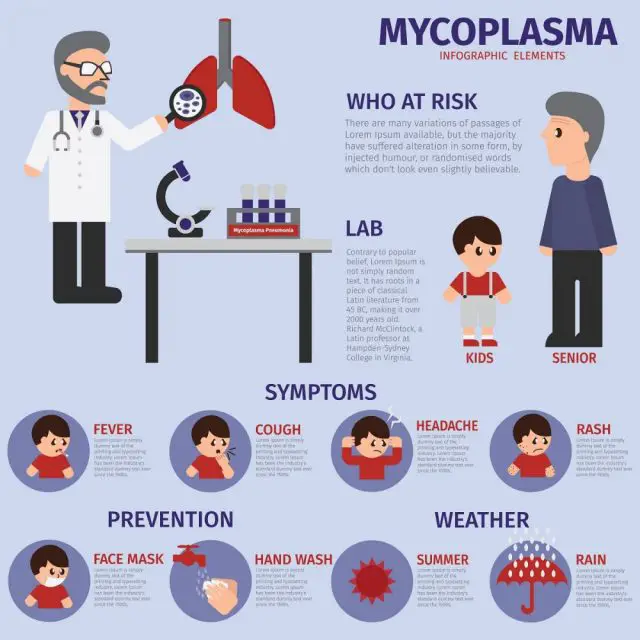 Mycoplasma Symptoms