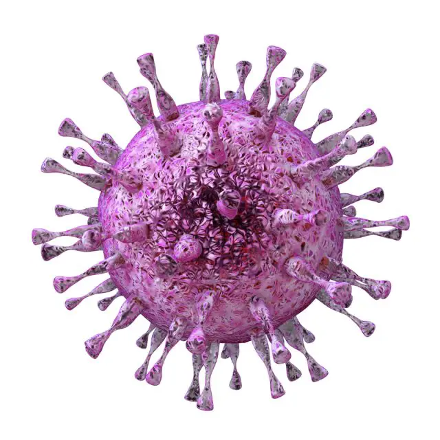 Cytomegalovirus