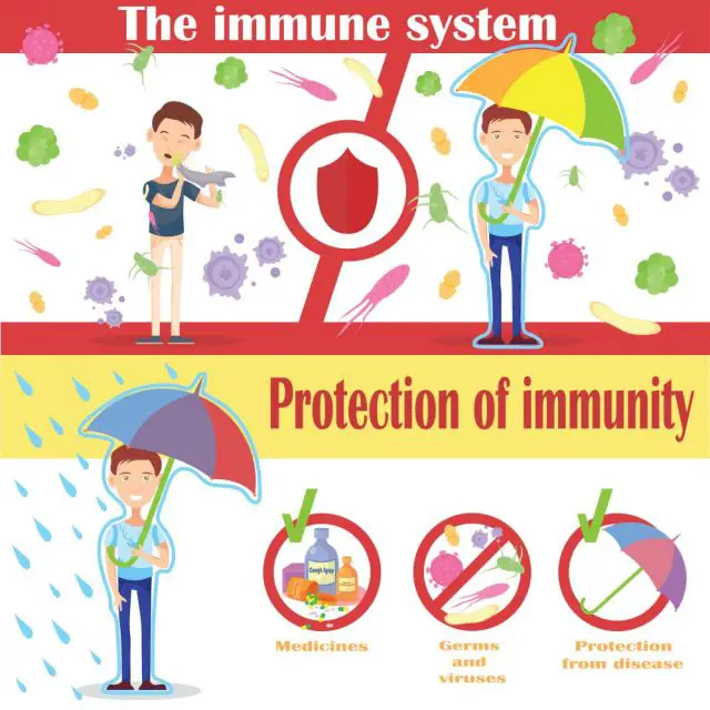 Immune System Diseases