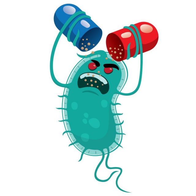 Enterococcus Faecalis Infection