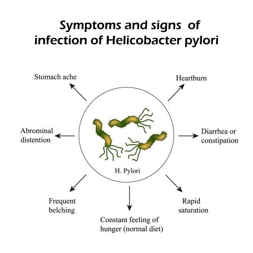 Helicobacter Pylori: Transmission, Test, Diet | STD.GOV Blog