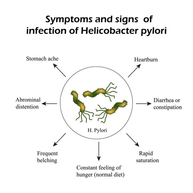 Helicobacter Pylori