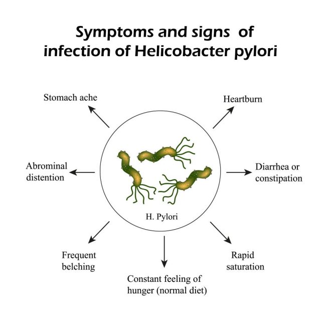 Helicobacter Pylori