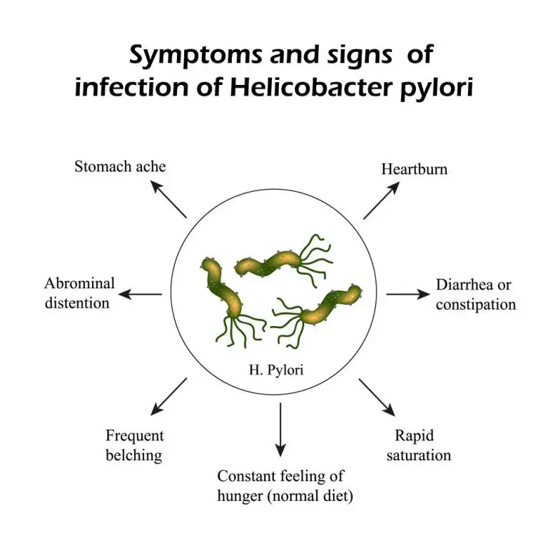 Helicobacter Pylori Transmission, Test, Diet STD.GOV Blog