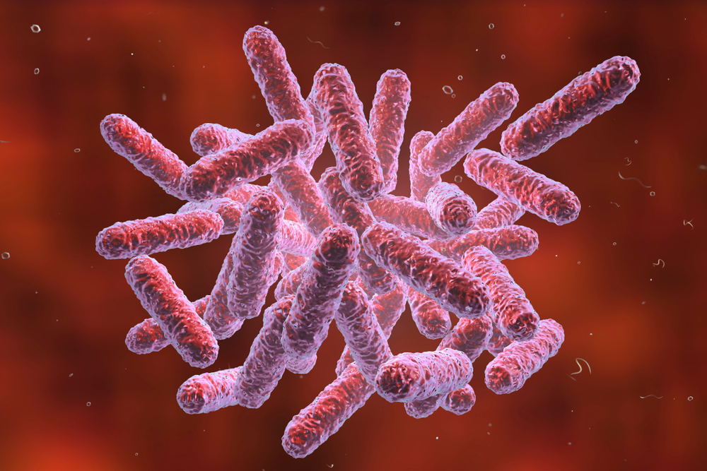 Enterobacter Cloacae: Facts, Symptoms, Treatment | STD.GOV Blog