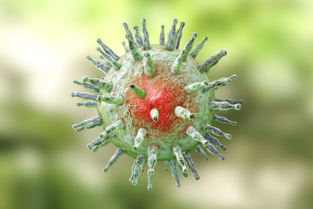 Epstein Barr Virus