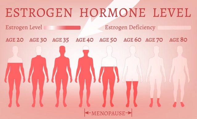 Foods Are Good for Estrogen in Women