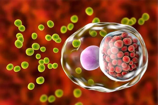 Oral and Nose Chlamydia