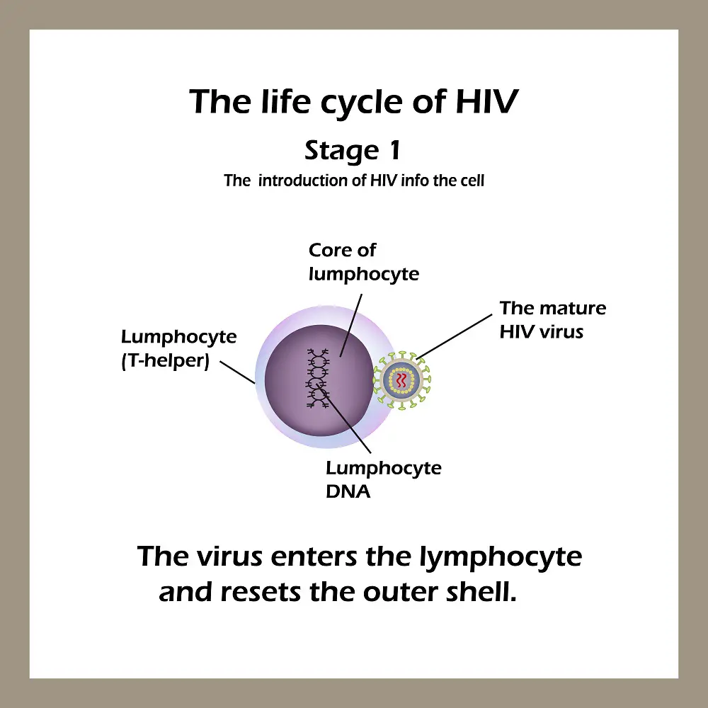 clinical presentation of aids