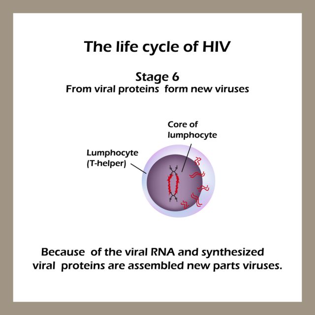 Stages of HIV & AIDS