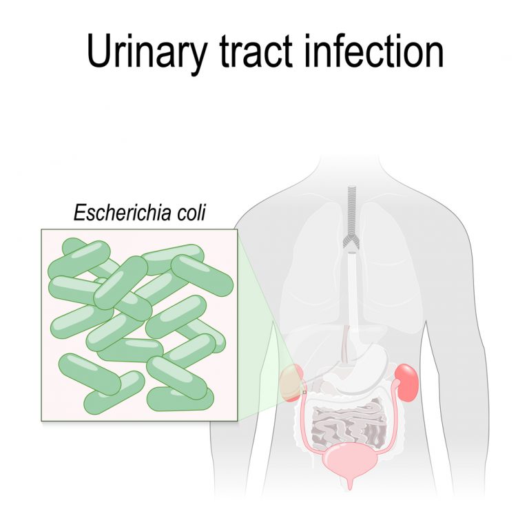 Causes of Testicle and Penis Pain STD.GOV Blog