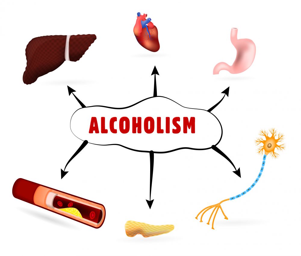 How does alcohol affect the reproductive system?