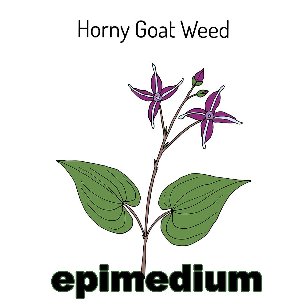The genus is also known as horny goat weed, yin yang huo, bishop’s hat and ...
