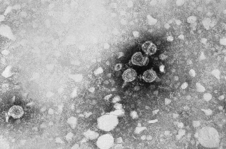 all-types-of-stds-stis-and-their-symptoms-std-blog