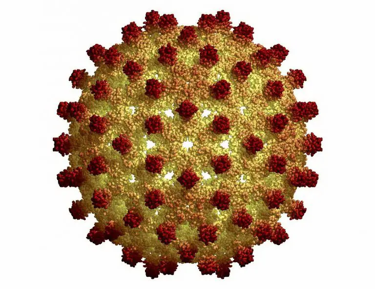 Can you get an STD from kissing STD.GOV Blog