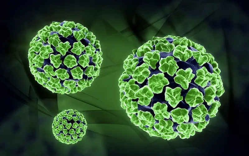 HPV Vaccines Side Effects and Risks. HPV Vaccine for Men and Women