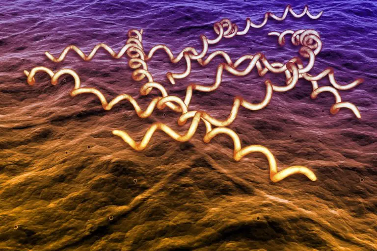 Can you get an STD from kissing STD.GOV Blog