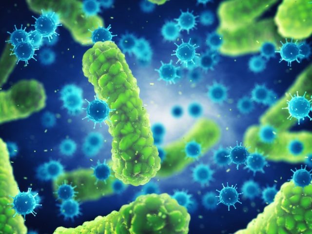 Pathogenic bacteria and viruses