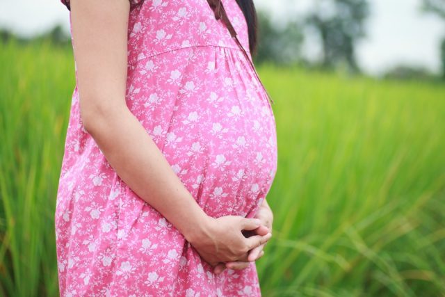 Pregnant woman on green meadow.