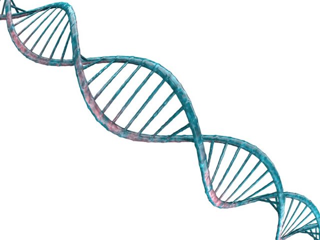 Digital illustration of a DNA model 