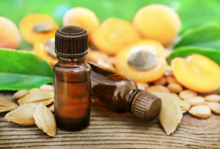 Body Lice symptoms, diagnosis, treatment, pictures, home remedies