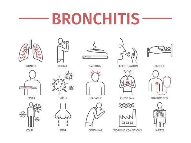 Bronchitis. Symptoms, Treatment. Infographics