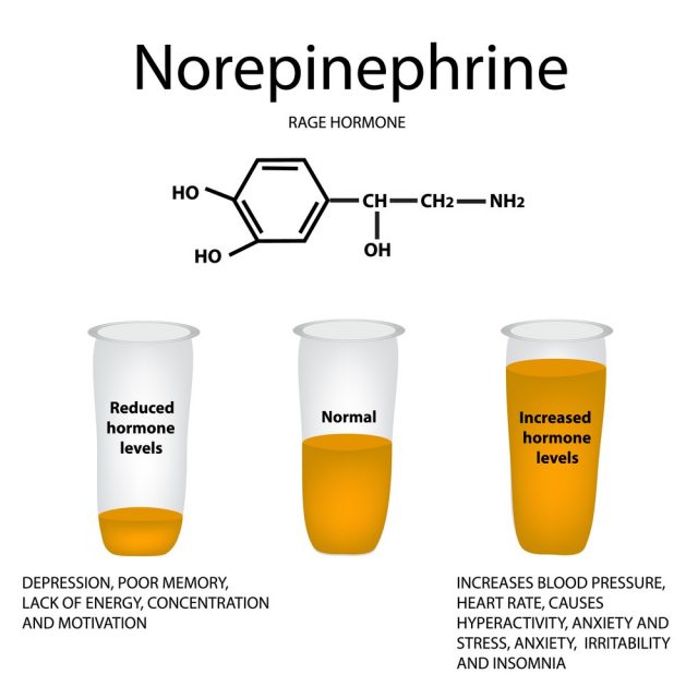 Chemical molecular formula hormone norepinephrine. Hormone rage. Lowering and raising norepinephrine. Infographics illustration