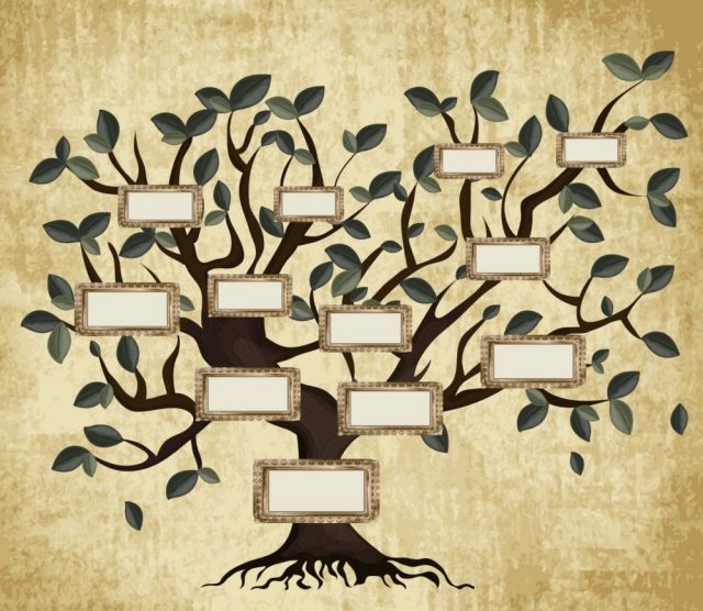 Illustration of family tree on aged paper
