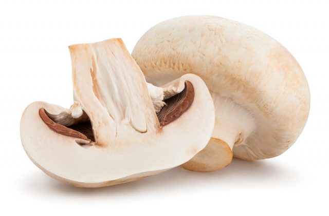 sliced mushroom