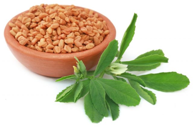 Fenugreek leaves with seeds in a bowl