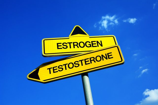 Estrogen Blocker