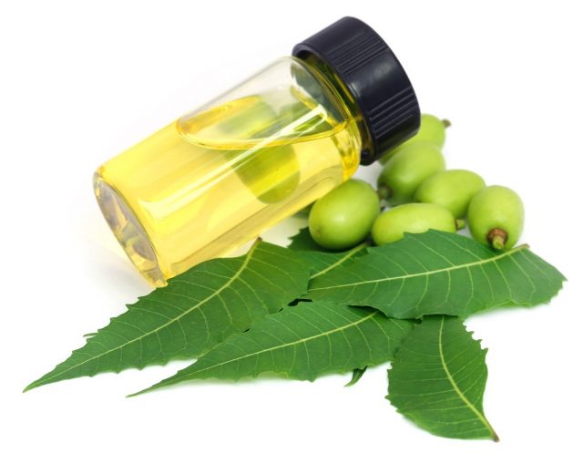 Neem oil