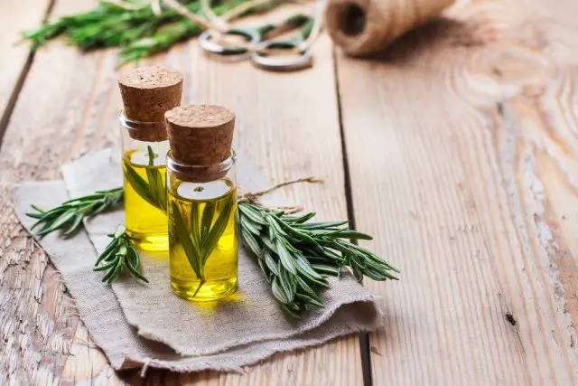 Rosemary oil