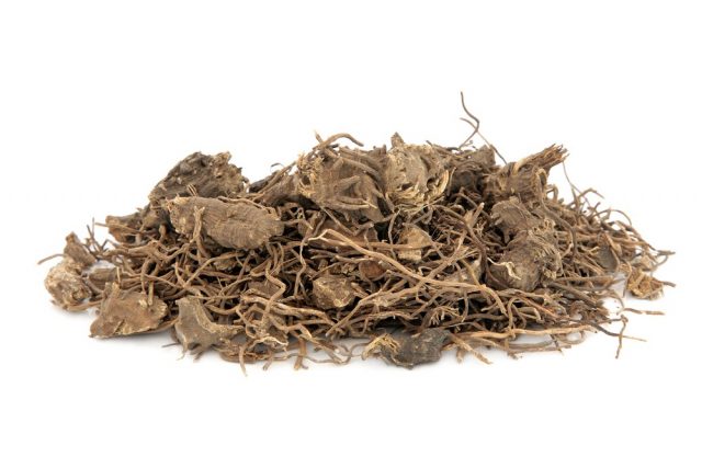 Black cohosh root herb