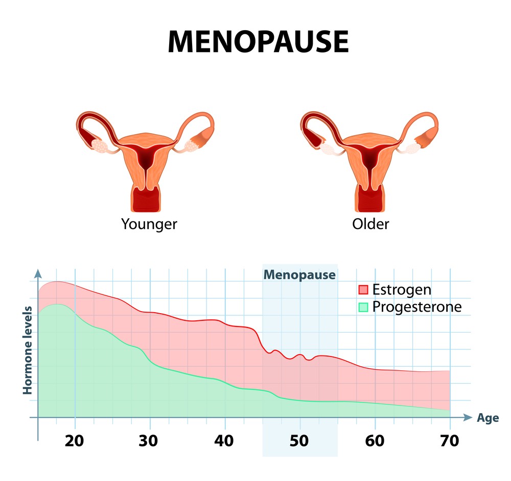 How long does menopause last
