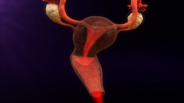 Menstruation bleeding 3d illustration