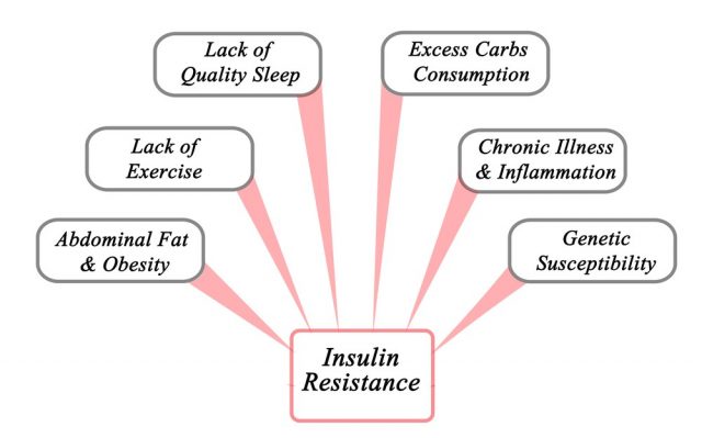 Causes of Insulin Resistance. Infographics