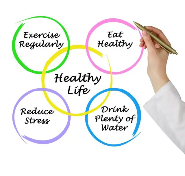 Diagram of healthy life