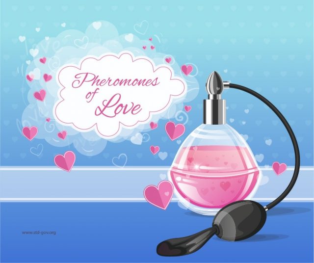 Pheromone Perfume