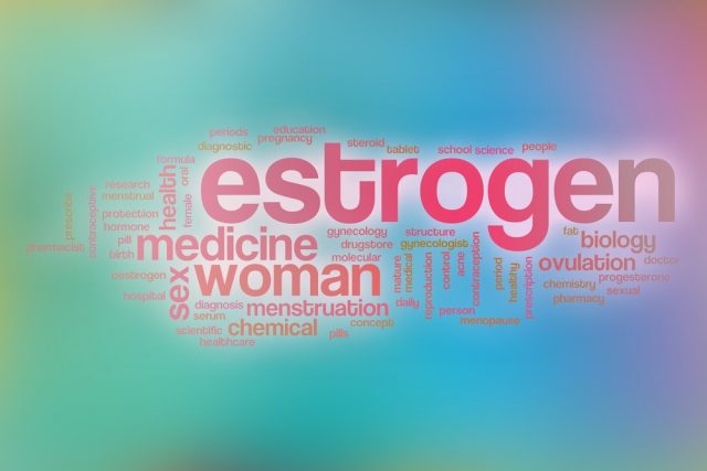 Estrogen