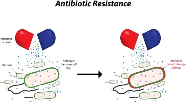 Antibiotic Resistance