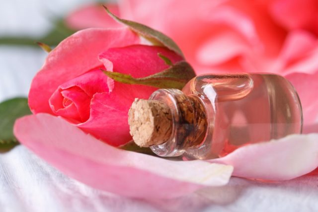 Rose water from petals of pink roses