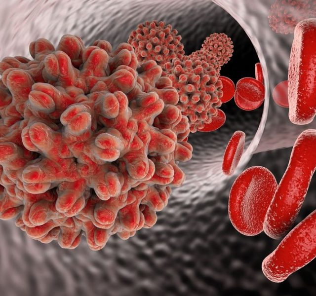 Hepatitis B virus in blood vessel with red blood cells