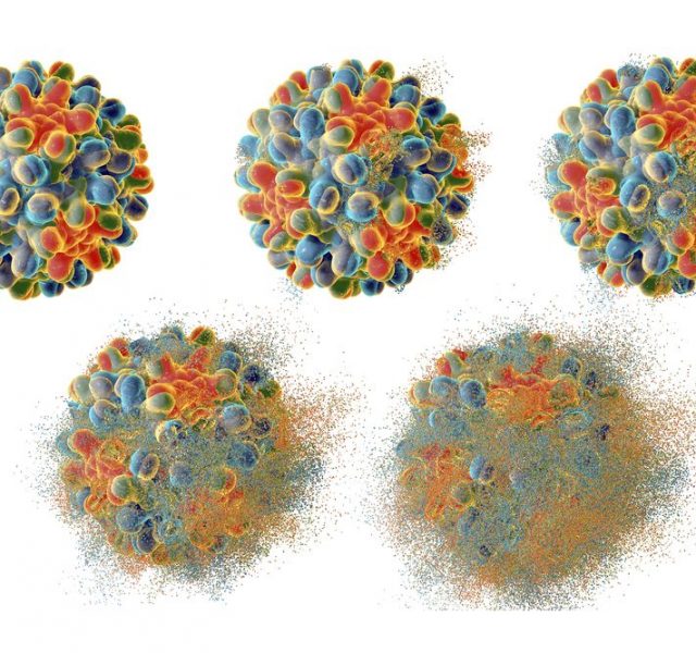 Destruction of hepatitis B virus, 3D illustration. Conceptual image for anti-hepatitis treatment. Stages of viral destruction