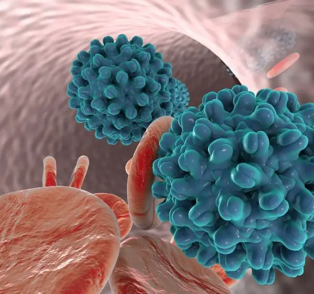 Hepatitis B virus in blood vessel with red blood cells. A model of virus is built using data of viral macromolecular structure furnished by Protein Data Bank (PDB 4G93)